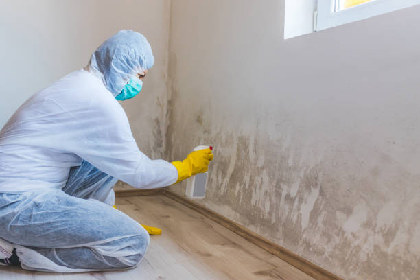 Bathroom Mold Removal assessment in Gaylord bathroom